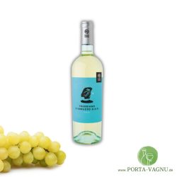 Italienischer Weißwein Trebbiano d'Abruzzo DOP von VianelloWines