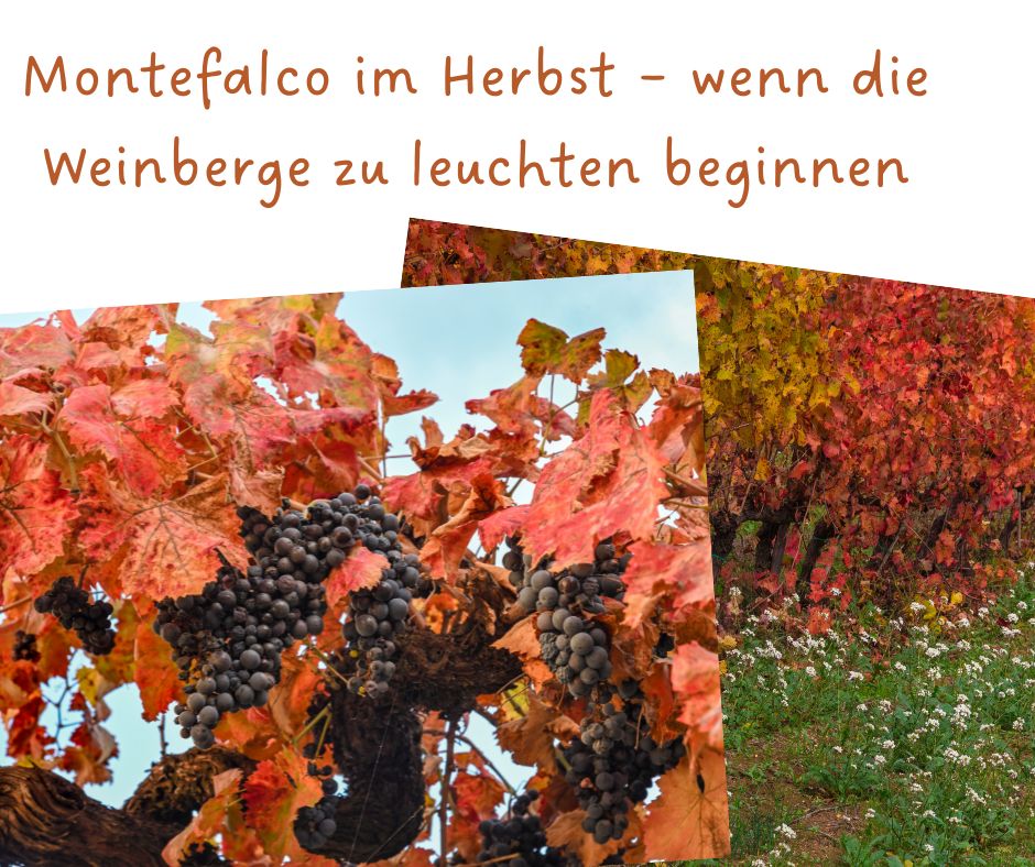 Montefalco im Herbst – wenn die Weinberge zu leuchten beginnen