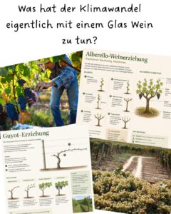 Was hat der Klimawandel eigentlich mit einem Glas Wein zu tun